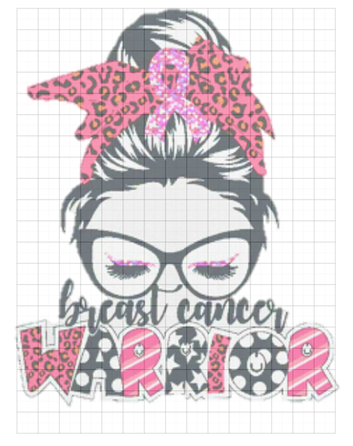 Breast Cancer Warrior 2